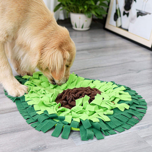 Interactive Snuffle Mat for Dogs – Enrichment Feeding Game and Training Aid